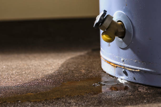 Best Local water damage restoration  in Wapakoneta, OH