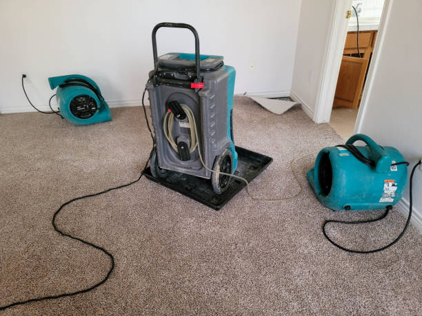 Best Water damage restoration specialists  in Wapakoneta, OH