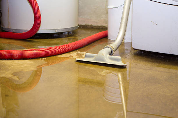 Water damage restoration experts in Wapakoneta, OH