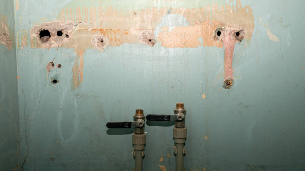 Trusted Wapakoneta, OH Water damage restoration Experts