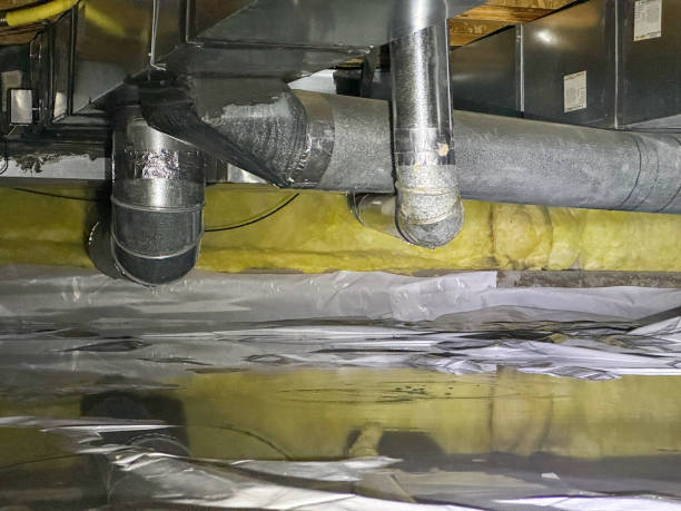  Wapakoneta, OH Water damage restoration Pros