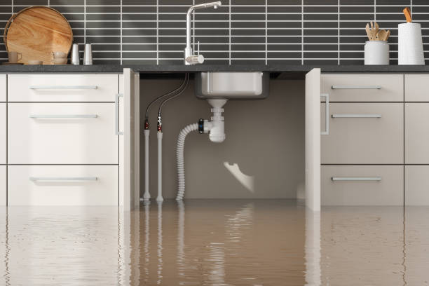 Best Water damage restoration near me  in Wapakoneta, OH