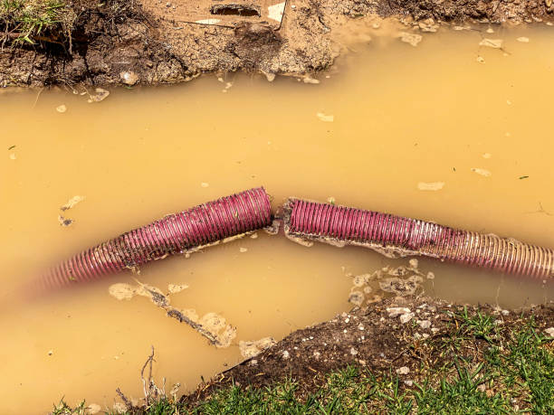 Local water damage restoration in Wapakoneta, OH