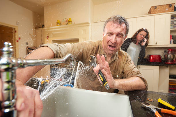 Best Water damage restoration mold remediation  in Wapakoneta, OH